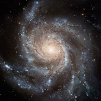 Space (@space) 's Twitter Profile