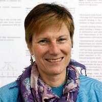 Heather Yeatman (@yeatmanhy) 's Twitter Profile Photo