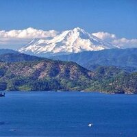 ShastaLakeCom (@shastalakecom) 's Twitter Profile