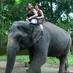Kerala Tourism (@keralastourism) Twitter profile photo Kerala Tourism (@keralastourism) Twitter profile photo