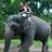 KeralasTourism's profile image
