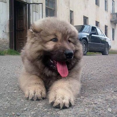 Papashvili On Twitter: "#Starline Njqtr53b Инструкция Скачать Http.