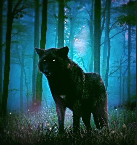 female, 33, work in logistics, philosopher, stoner, graduated with BA in Philosophy & Politics & International Affairs, NOTHING IS REAL, 1 woman wolf pack.