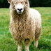 Cotswolds Travel (@cotswoldstravel) Twitter profile photo