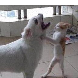 booklikeman's profile picture. 인생은 정글의 법칙