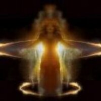 Sue Donoghue (@lightworkersue) 's Twitter Profile