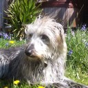 Antony Turner - @carbonant - Twitter