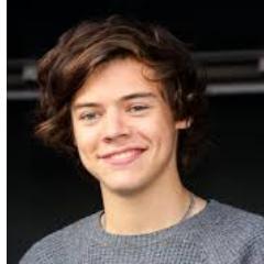 Zayn Malik♡,Harry Styles♡,Niall Horan♡,Liam Payne♡,Louis Tomlinson♡ || Im #Directioners