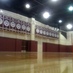 Texas A&M Volleyball (@insideaggievb) Twitter profile photo