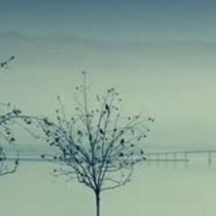 All of man’s problems stem from his inability to sit quietly with himself.-Pascal
