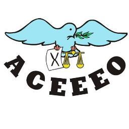 ACEEEO's profile picture. The Association of European Election Officials is an international NGO that promotes free and fair elections in the Central and Eastern European region.