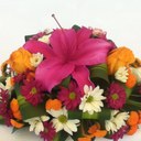 Glenda Dobson - @DobsonGlenda - Twitter