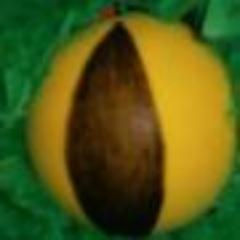 solillunateatre's profile picture. Gup de mares i pares de l'escola el Sol i La Lluna de Castellar del Vallès  amb l'afició del teatre infantil a les venes...