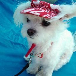 evagg1974's profile picture. 