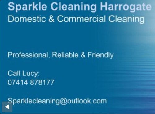 Professional, friendly and reliable domestic & commercial cleaners