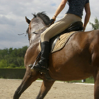 razan93_'s profile picture. مآ يكرهٌ آلبدو الا آلليّ مضيع آصله ~