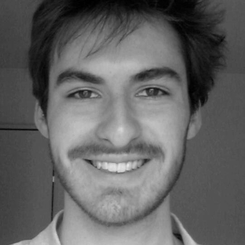 Developer @Votebox