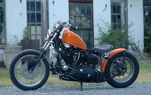 74_Bobber's profile picture. 