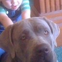 Terrie Stark - @stark_terrie - Twitter