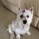 Yvette Mills - @lactionnow - Twitter