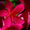 Hope Roberson - @HopeRobers0n - Twitter