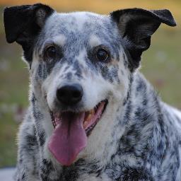 nannysbusy's profile picture. 