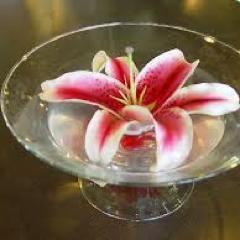 Humility is the foundation by which love manifests.- Radhanath Swami