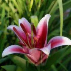 Mari0nKeith's profile picture. Be willing to have it so. Acceptance of what has happened is the first step to overcoming the consequences of any misfortune.-William James