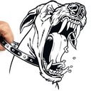 ryan ball - @ry4n1007 - Twitter