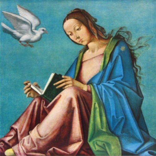 Maikova, Travellingさんのプロフィール画像