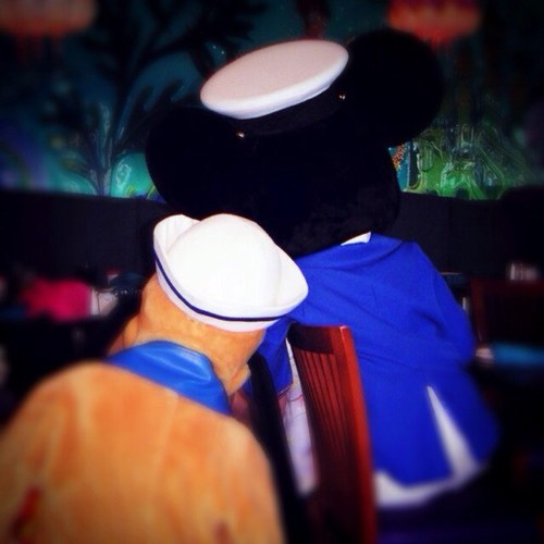 Disney大好き！ Mickeyに会う為にTDRに通っています。土日組。お気に入りはBBB♪ 元共通。一眼勉強中。年１回海外パーク旅行が目標。でも、英語できません(´･ω･`) 自分からあまり絡めないので無言フォロー多いです。