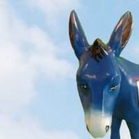 Onsdonk_hitma (@onsdonk_hitma) 's Twitter Profile