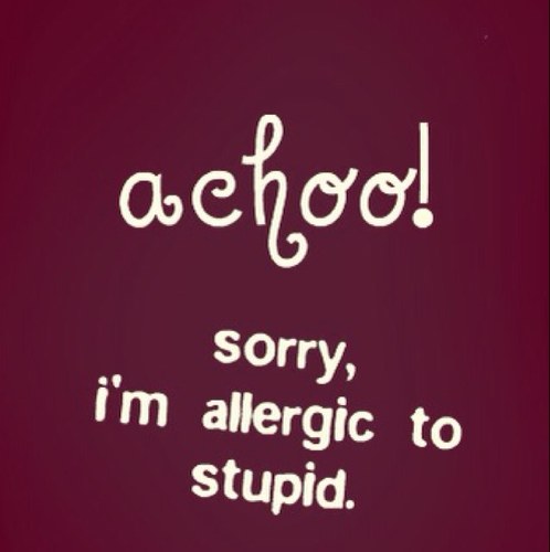 ManuthecuteH's profile picture. Alisha here loves pkyek... A fan of one direction.... Follow me i follow u back B-)