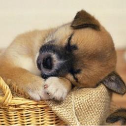 LifestyleUSA212's profile picture. I blog about lifestyle, entertainment/fashion/trends. Topics are: arts/crafts, beauty, fashion, food, household related products, technology & more :D