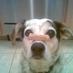 Tina W. (@tinawheeler01) Twitter profile photo Tina W. (@tinawheeler01) Twitter profile photo