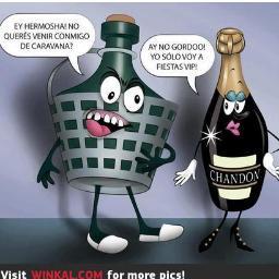 adonisp84's profile picture. 