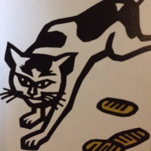 この道の先は知らねど福寿草