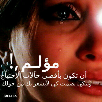 momo50072's profile picture. 