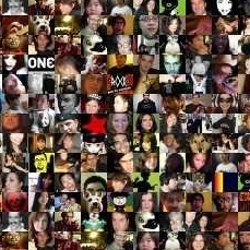 BildArchiv's profile picture. 