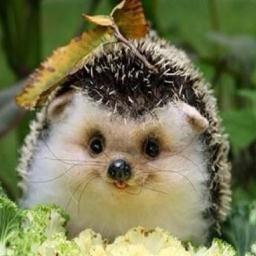 pamcat30's profile picture. 