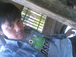 Twitter anyar