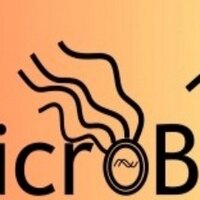microBEnet (@microbenet) 's Twitter Profile