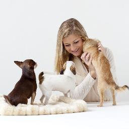 Dream Dogs in Love is een kleine hobby Chihuahuakennel, ontstaan uit heel veel liefde en passie voor het ras.