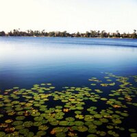 humber (@humber) 's Twitter Profile