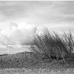 evphoto1's profile picture. 