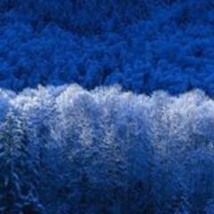 hamzabara11's profile picture. 