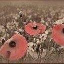 Sally Smith :-) - @sallysmith1968 - Twitter