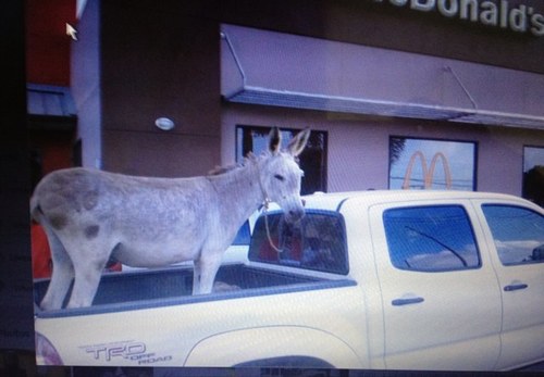 VtFisherCat's profile picture. Good at math, good at cooking, good at one liners, good with people. Can't tie shoelaces very well.