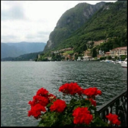 REEMoOo454's profile picture. تدارك وقتك قبل ان تتمنى عودته ..لتفعل ماكان يجب ان تفعله..