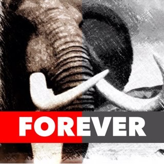 ForElephants's profile picture. A charitable organization dedicated to stopping elephant poaching in Africa by educating, equipping and training anti-poaching forces. RTs ≠ endorsements.